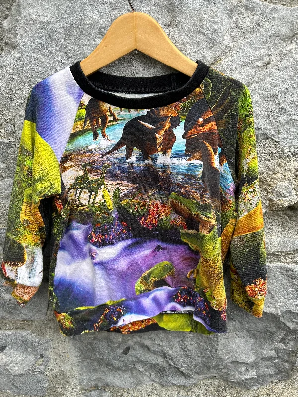 sweatshirts with spliced cuffs -Colourful dinosaurs sweatshirt   3y (98cm)